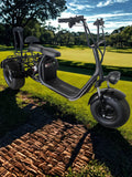 I-Glide® 3 Wheel Trike Estate Glider