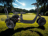 I-Glide® 3 Wheel Trike Estate Glider