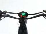I-Glide® 3 Wheel Trike Estate Glider
