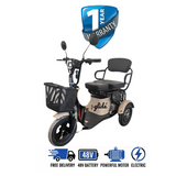 IGlide® Glide Master Mobility Trike